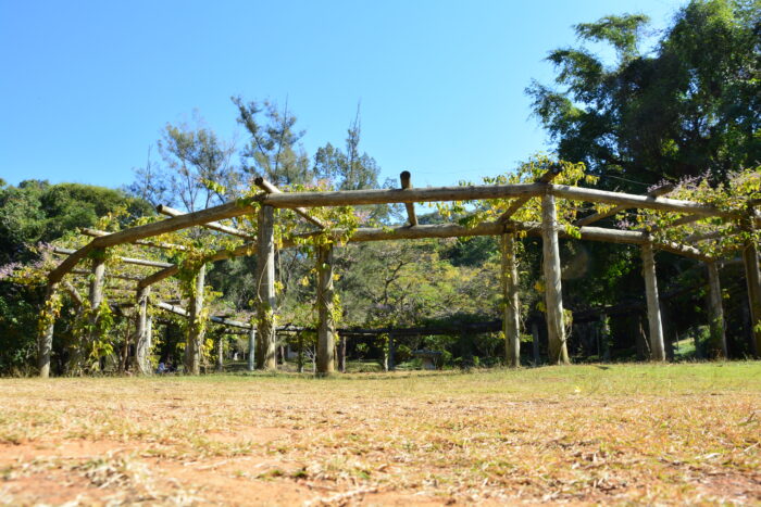 Crianças brincando, pais tranquilos: confira opções de colônias de férias em Juiz de Fora 1 uploads FERNANDO PRIAMO 22.07.21 08.09.30 Parque da Lajinha amplia funcionamento neste sabado 4 Foto Jessica Pereira