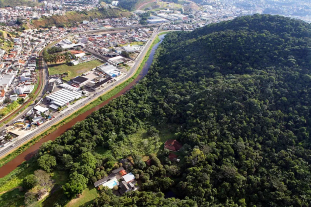 AO VIVO NA ANTENA 1 Juiz de Fora: saúde da próstata, saúde do cérebro e rotina, novidades culturais em Juiz de Fora e mais no Tribuna no Ar, ao vivo 1 Design sem nome