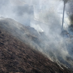 Incêndio atinge área de pastagem no Estrela Sul 2 Design sem nome 3 1 3