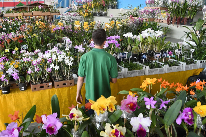Exposição Nacional de Orquídeas de Juiz de Fora é cancelada em 2026 1 Exposição