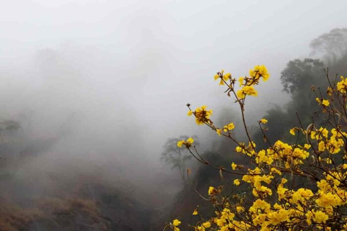 Frio, chuva e depois calor: semana terá virada no tempo em Juiz de Fora 9 previsão