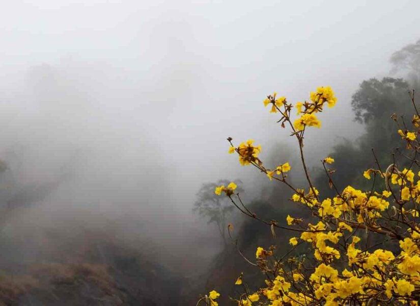 Juiz de Fora tem alerta de tempestade; veja até quando o frio continua 1 previsão Inmet