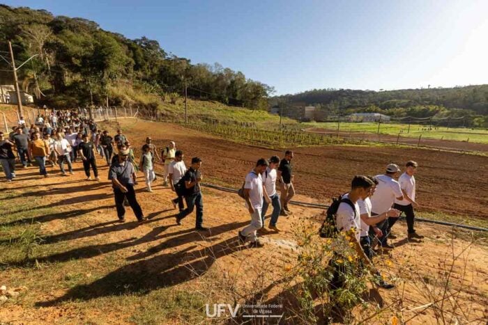 Primeiro banco de cannabis em universidade pública do Brasil é inaugurado na Zona da Mata mineira 3 cannabis ufv arquivo