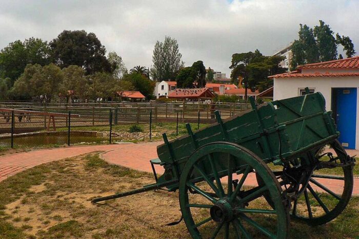 Justiça manda Município de Minas substituir gradualmente veículos de tração animal 1 Justiça manda Município de Minas substituir gradualmente veículos de tração animal