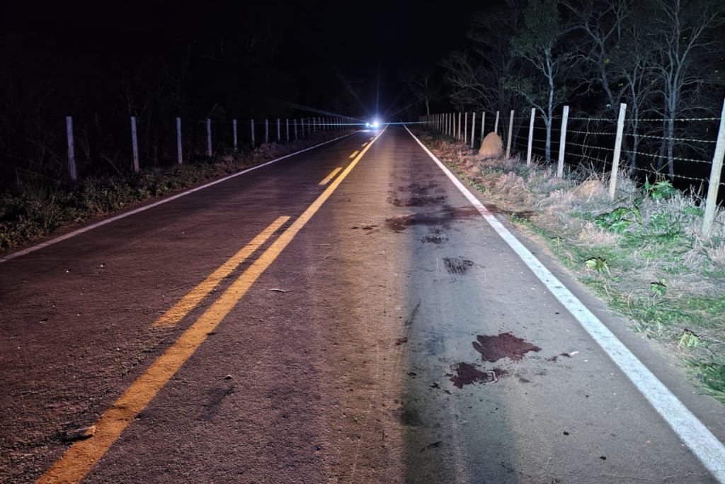 Motocicleta bate em égua, deixa três feridos e animal morre em rodovia de Descoberto 1 fotos 2026 08 24T074656.869