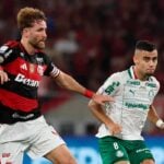 UFMG: Palmeiras dispara nas probabilidades de título do Brasileirão, e Vasco chega a 66% de chances de rebaixamento 8 UFMG: Palmeiras dispara nas probabilidades de título do Brasileirão, e Vasco chega a 66% de chances de rebaixamento