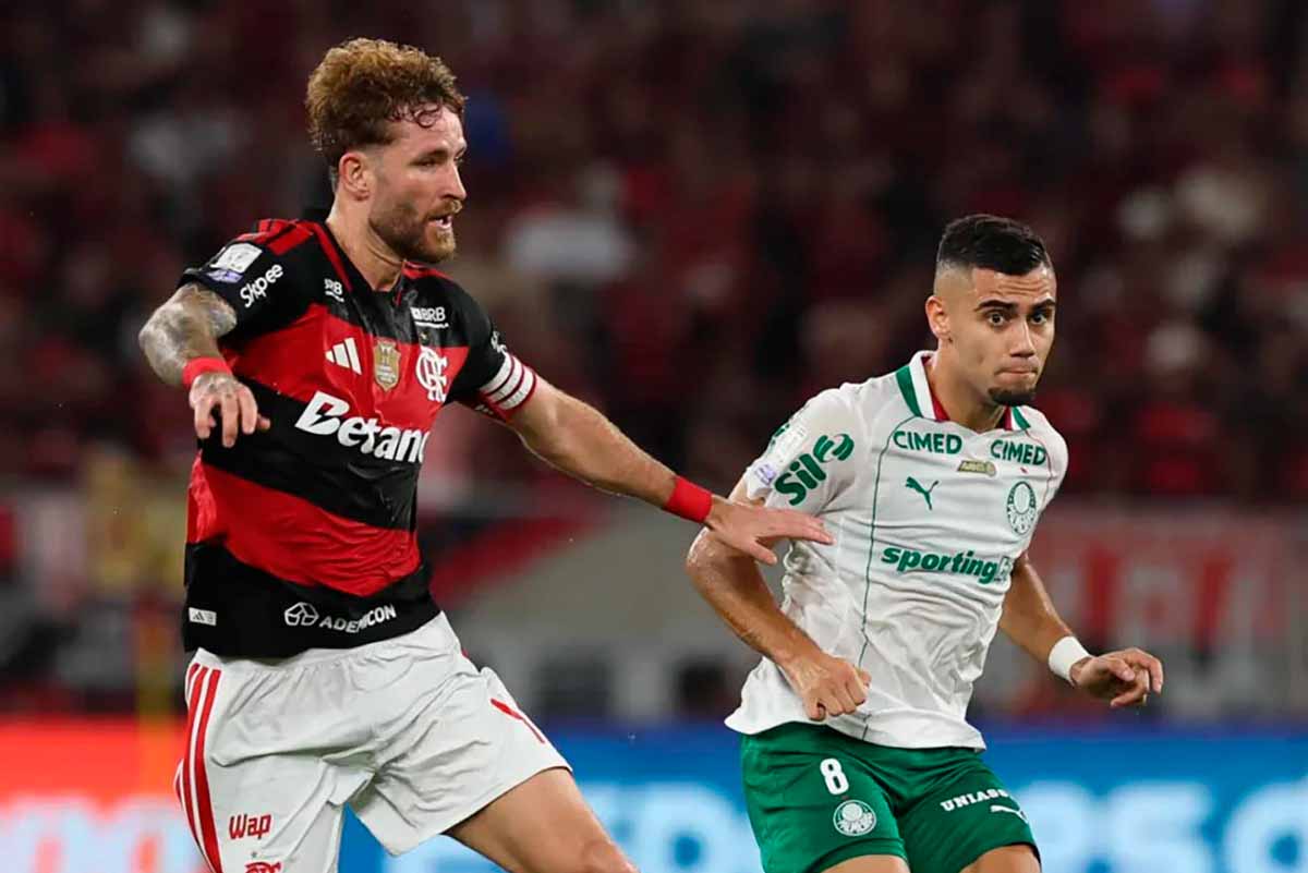 UFMG: Palmeiras dispara nas probabilidades de título do Brasileirão, e Vasco chega a 66% de chances de rebaixamento