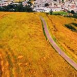 Novo Parque Municipal na Zona da Mata: Município obtém posse de terreno para construção 19 Novo Parque Municipal na Zona da Mata: Município obtém posse de terreno para construção da estrutura
