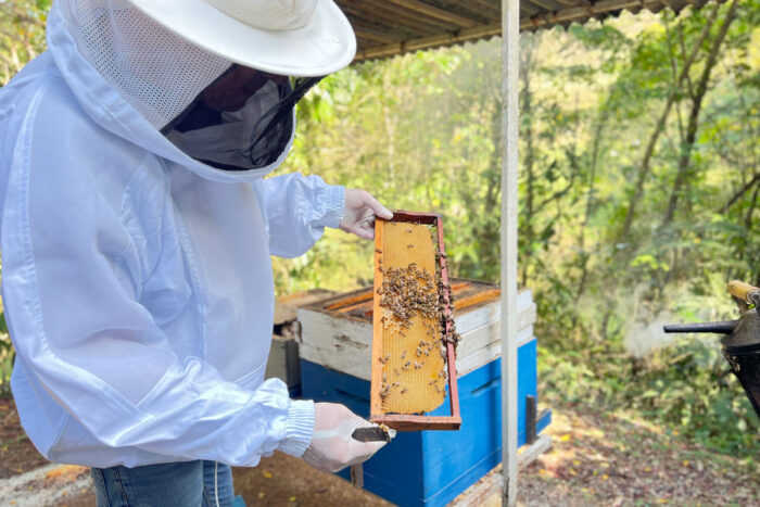 Turismo rural em Juiz de Fora: veja 3 roteiros com cachoeiras, queijarias e restaurantes 3 juiz de fora caminhos da produção experiências rurais