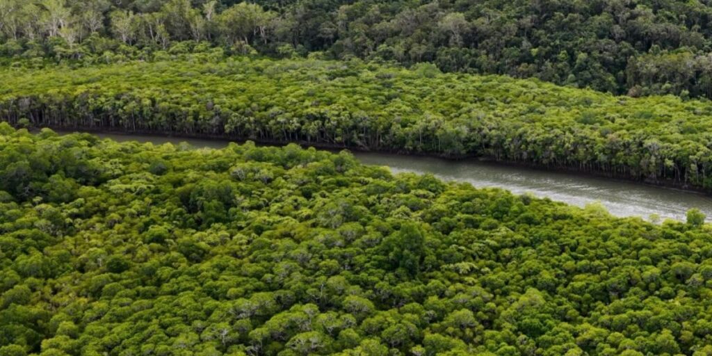 Cientistas encontram mais de 400 construções antigas na Floresta Amazônica e revelam que cerca de 3 milhões de habitantes viviam no Acre há 2 mil anos