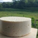 Economia verde: tradição, sustentabilidade e novos negócios na produção de queijo 38 CAPA queijos sophia arquivo pessoal