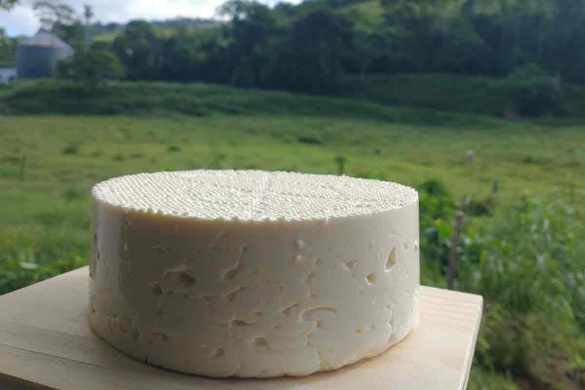 Economia verde: tradição, sustentabilidade e novos negócios na produção de queijo