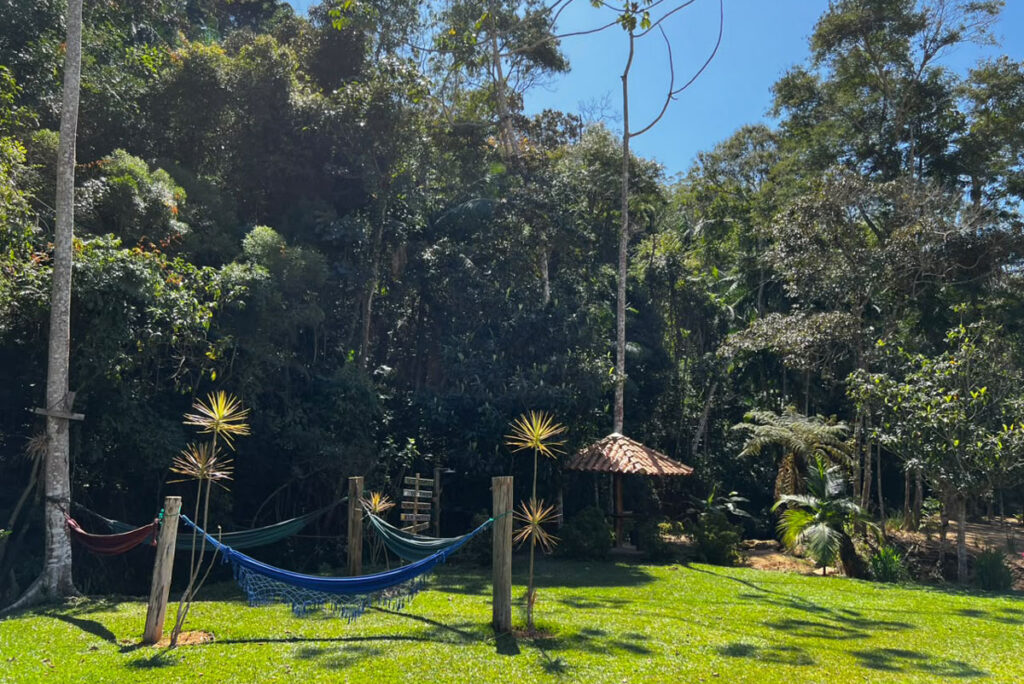 Turismo rural em Juiz de Fora: veja 3 roteiros com cachoeiras, queijarias e restaurantes
