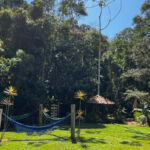 Turismo rural em Juiz de Fora: veja 3 roteiros com cachoeiras, queijarias e restaurantes