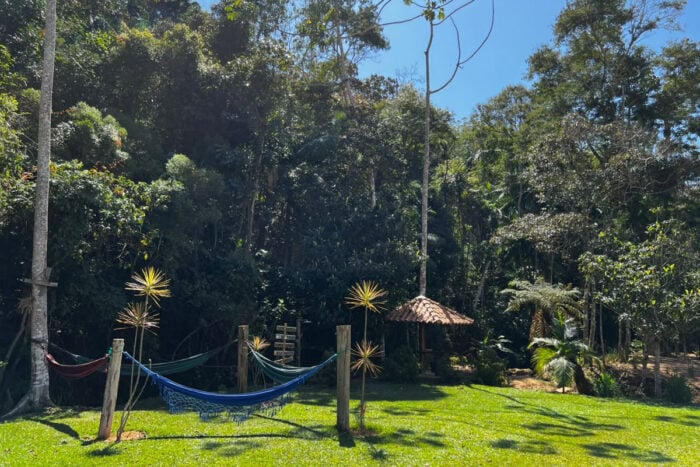 Turismo rural em Juiz de Fora: veja 3 roteiros com cachoeiras, queijarias e restaurantes