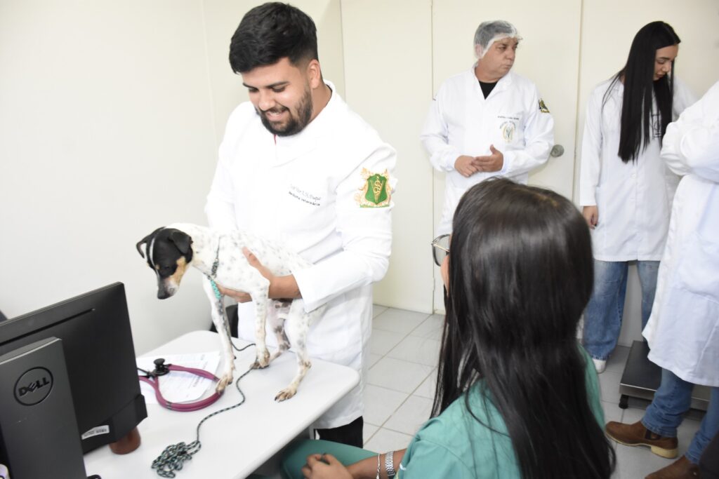 Clínica veterinária passa a oferecer atendimento a preço social e em horário noturno em Juiz de Fora 1 Policlinica veterinaria Estacio Divulgacao Estacio 4
