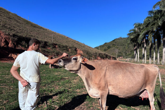 Turismo rural em Juiz de Fora: veja 3 roteiros com cachoeiras, queijarias e restaurantes 2 Turismo rural em Juiz de Fora: veja 3 roteiros com cachoeiras, queijarias e restaurantes