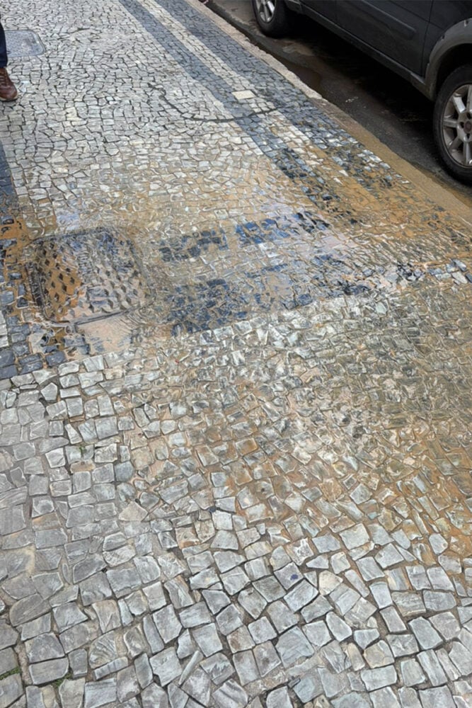 VU Contribuicao da leitora