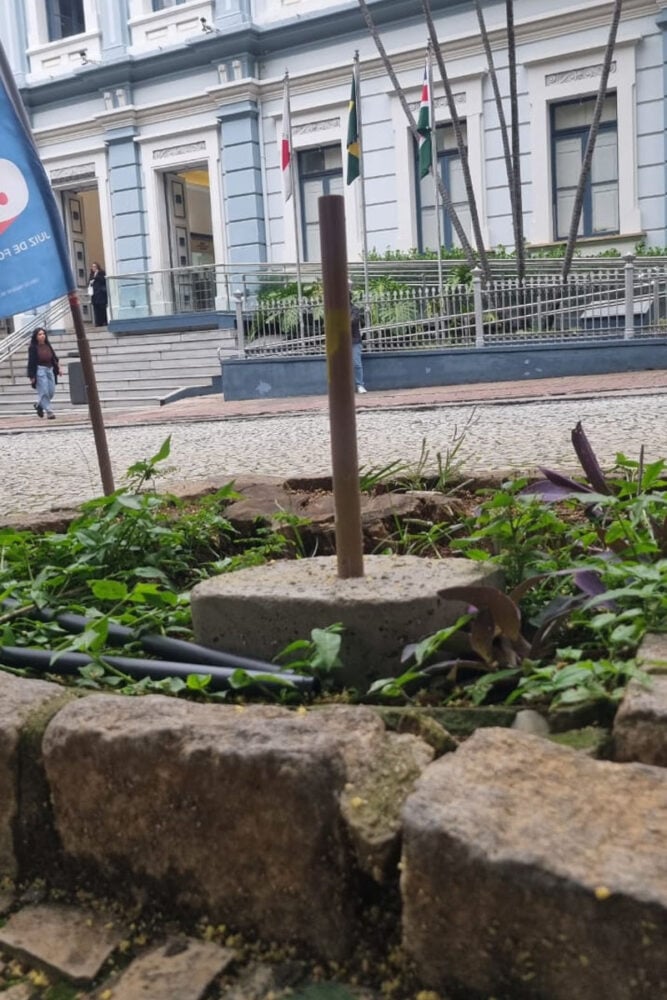 Bases de propaganda eleitoral ficam em calçadas de Juiz de Fora após retirada de windbanners 4 VU Foto Tribuna 8
