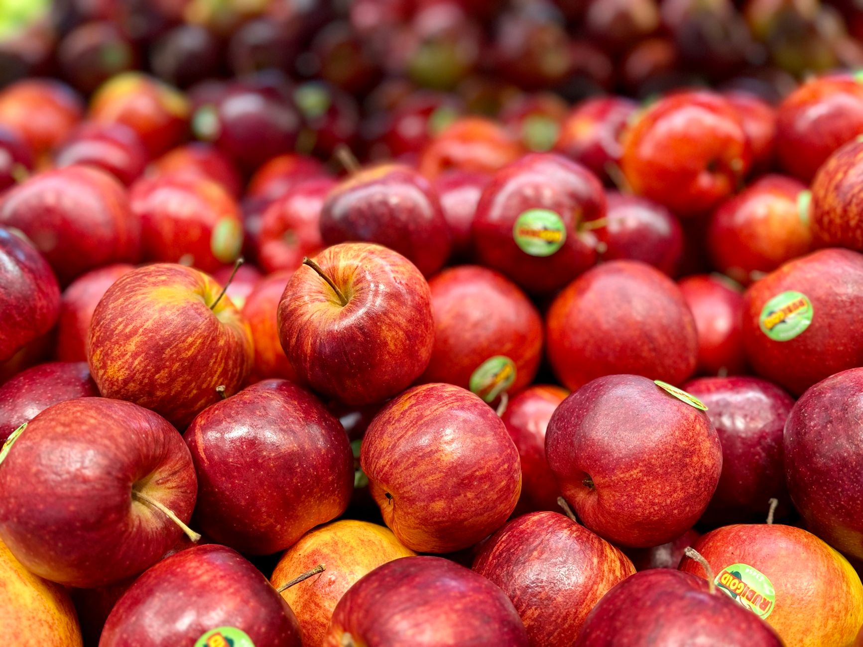 Antes de escolher maçãs no supermercado, veja qual tipo os agricultores dizem para evitar e quais características devem ser observadas na hora da compra 1 Uma vibrante exposição de maçãs vermelhas frescas em um mercado local em Maribyrnong, Victoria.