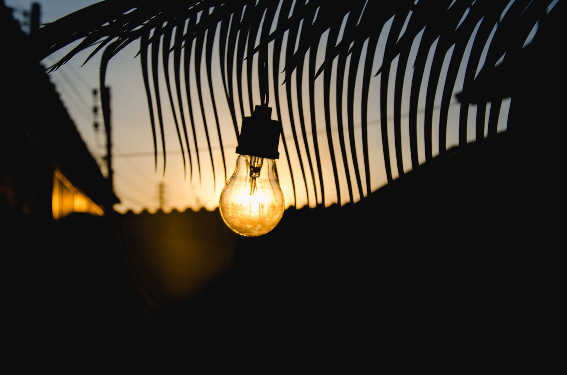 Brasileiros podem ter 100% de desconto na conta de luz, mas precisam atender às regras e ficar dentro do limite de consumo exigido pelo benefício 1 Uma lâmpada brilhante pendurada em uma folha de palmeira silhuetada contra um céu de pôr do sol vibrante.