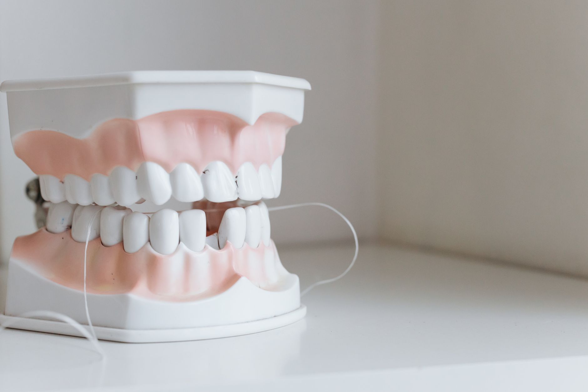 Dentista explica por que passar o fio dental rapidamente entre os dentes não é suficiente e ensina técnica que remove a placa e ajuda a prevenir o mau hálito 1 Close-up de um modelo dental com fio dental, simbolizando higiene bucal e cuidado dentário.
