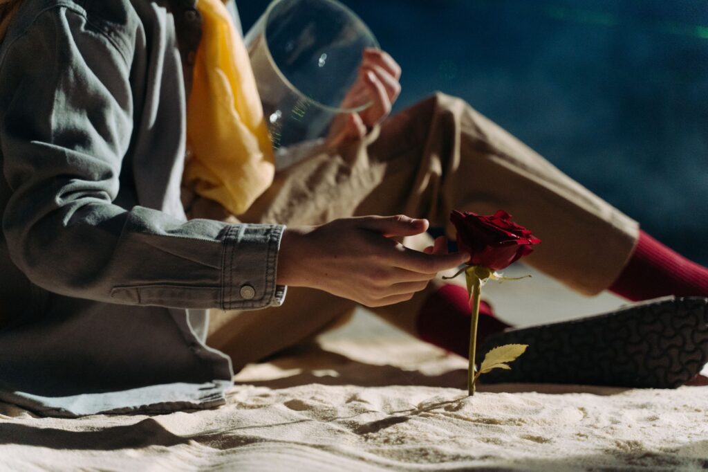 “É uma loucura odiar todas as rosas só porque uma te espetou”: a frase de O Pequeno Príncipe que traz uma reflexão sobre o amor e as decepções