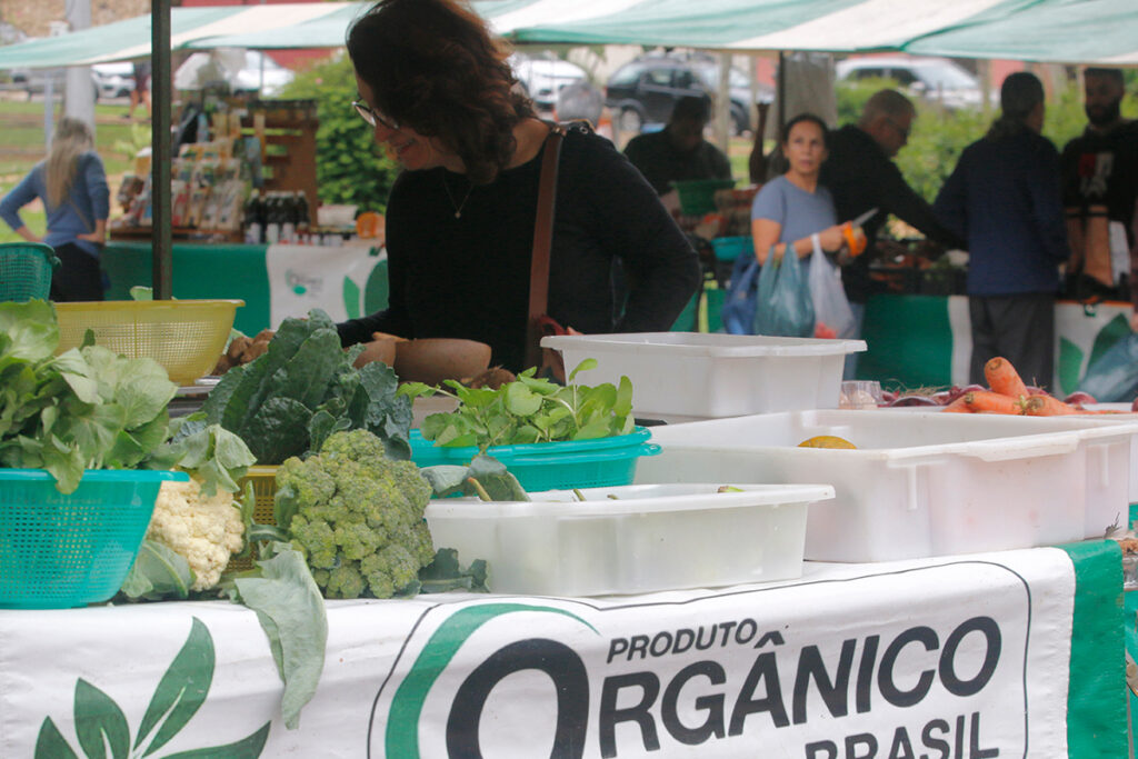 feira mogico felipe couri