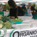 Economia Popular Solidária em JF: outra forma de produzir e vender 31 feira mogico felipe couri