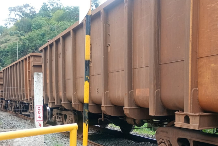 Mulher morre e jovem fica ferido após atropelamentos por trem em Juiz de Fora