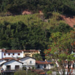 gentil forn felipe couri