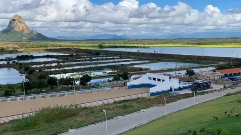 Aos 37 anos, Wesley Safadão constrói praia artificial dentro de haras onde cria cavalos avaliados em milhões de reais