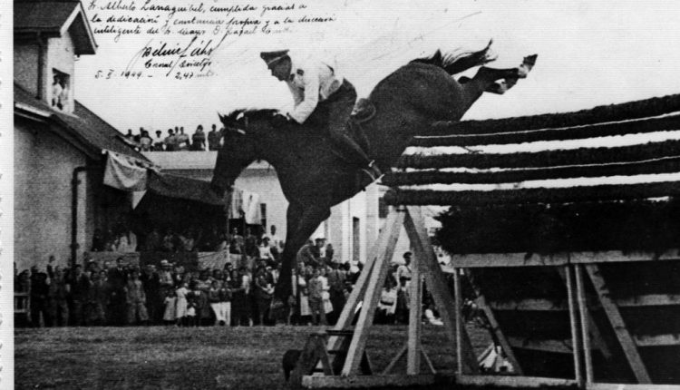 Cavalo saltou 2,47 metros com um militar nas costas em 1949 e ninguém conseguiu bater o recorde até hoje