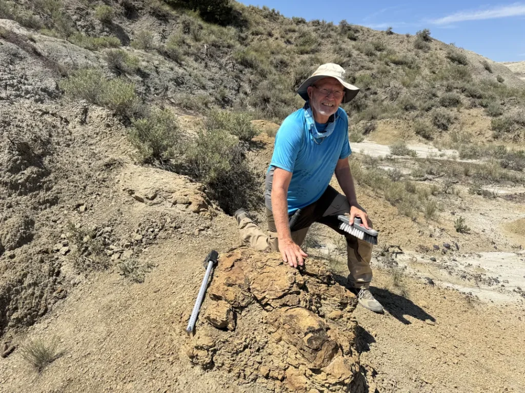 Professor vê três dedos saindo da terra durante escavação e encontra as primeiras pegadas em sequência de um T. rex adulto
