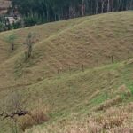 Prefeitura de Ubá leiloa terrenos a partir de R$ 17 mil nesta quarta; saiba como participar 16 Prefeitura de Ubá abre leilão online de imóveis públicos com valores a partir de R$ 17 mil