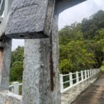 mata do krambeck felipe couri destacada