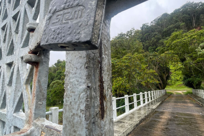 Quase quatro anos após criação, o que falta para o Parque Estadual Mata do Krambeck ser aberto à visitação? 1 Mata do Krambeck