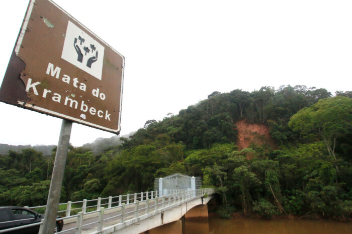 Quase quatro anos após criação, o que falta para o Parque Estadual Mata do Krambeck ser aberto à visitação? 2 mata do krambeck felipe couri destacada2