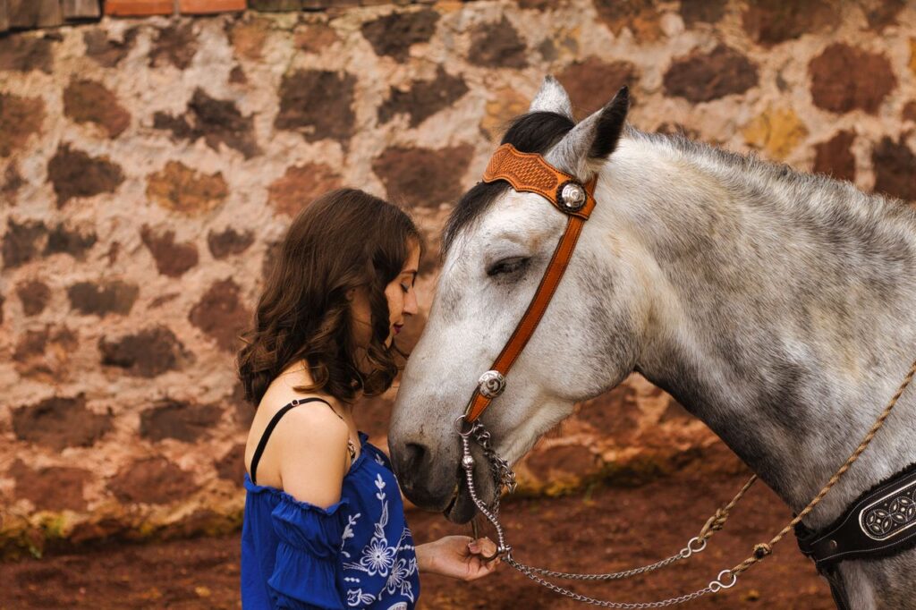 Três minutos ao lado de cavalos e burros reduzem tristeza, nervosismo e solidão entre adolescentes