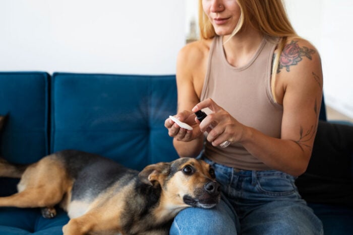 Receitas caseiras podem colocar cães e gatos em risco; veja 7 práticas perigosas 1 Receitas caseiras podem colocar cães e gatos em risco; veja 7 práticas perigosas