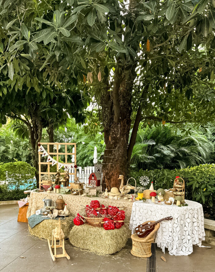 Na fazenda: aniversário infantil resgata memórias em celebração lúdica 26 58934d32 0df5 4ac3 8e66 bc80337c6577