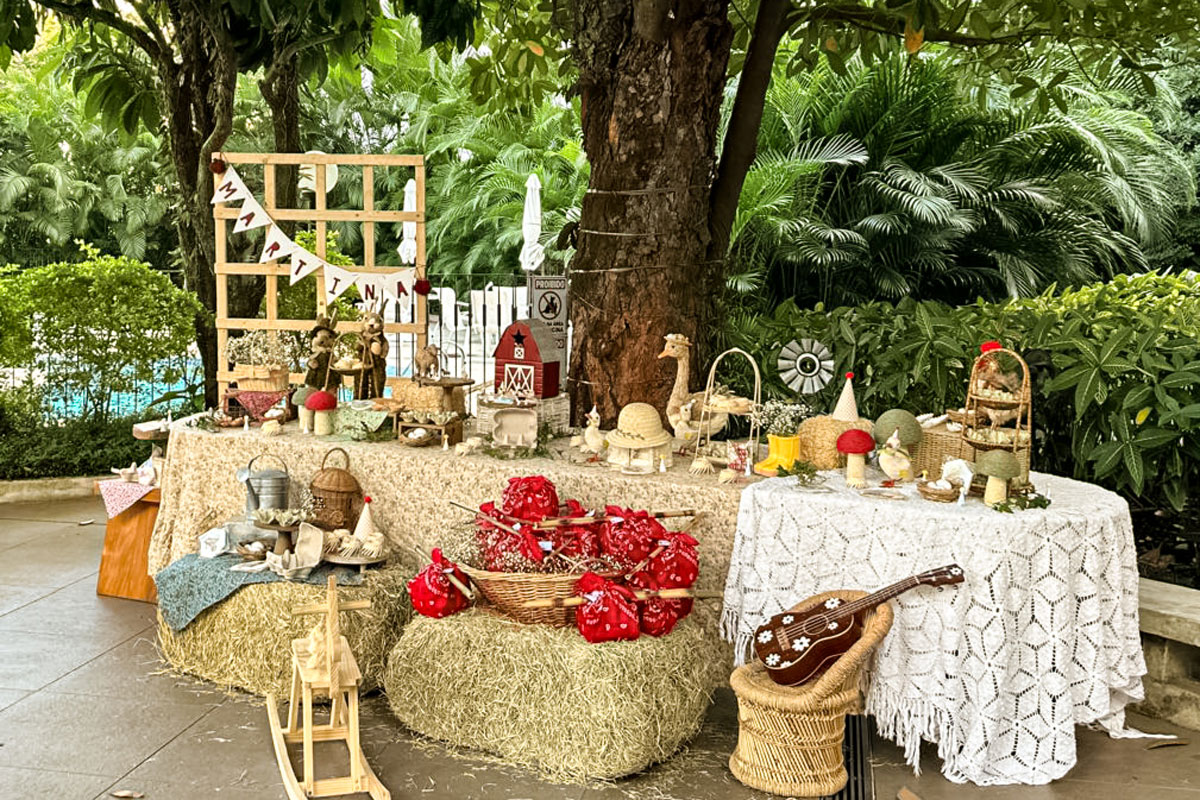 Na fazenda: aniversário infantil resgata memórias em celebração lúdica