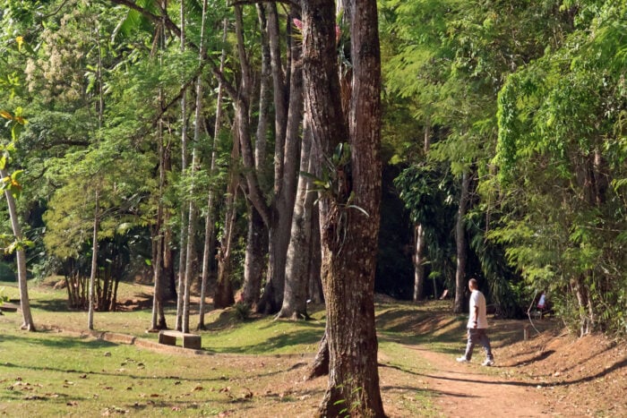 Jardim Botanico Leonardo Costa 1