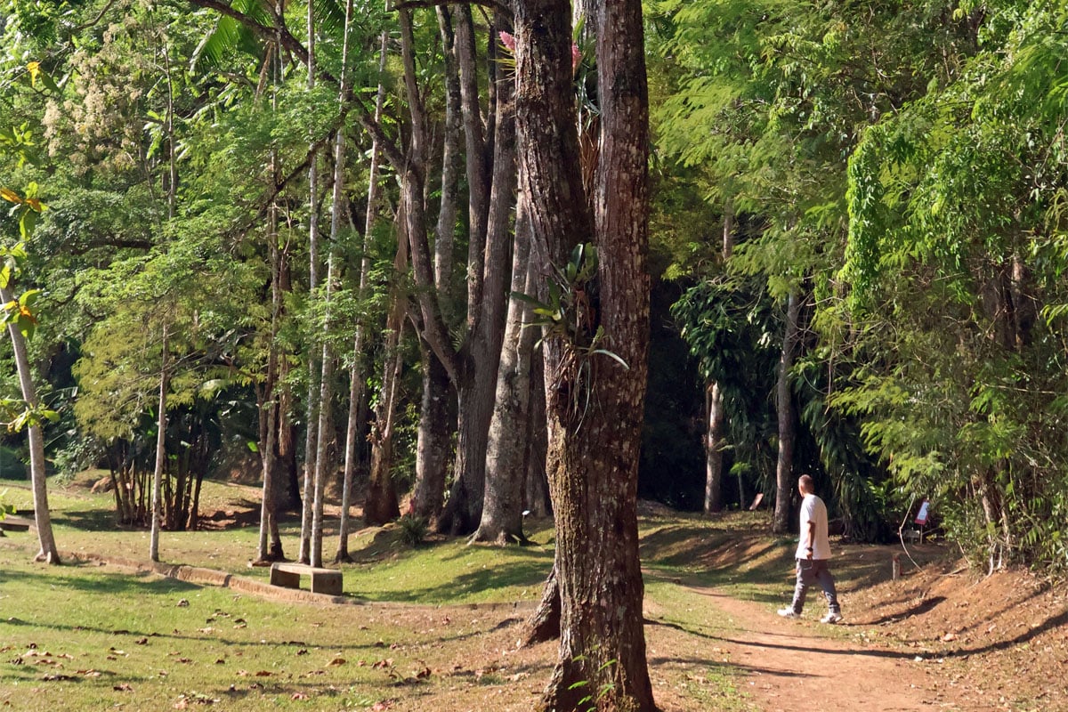 Jardim Botânico recebe lançamento de livro de pesquisadora cearense e debate sobre educação ambiental