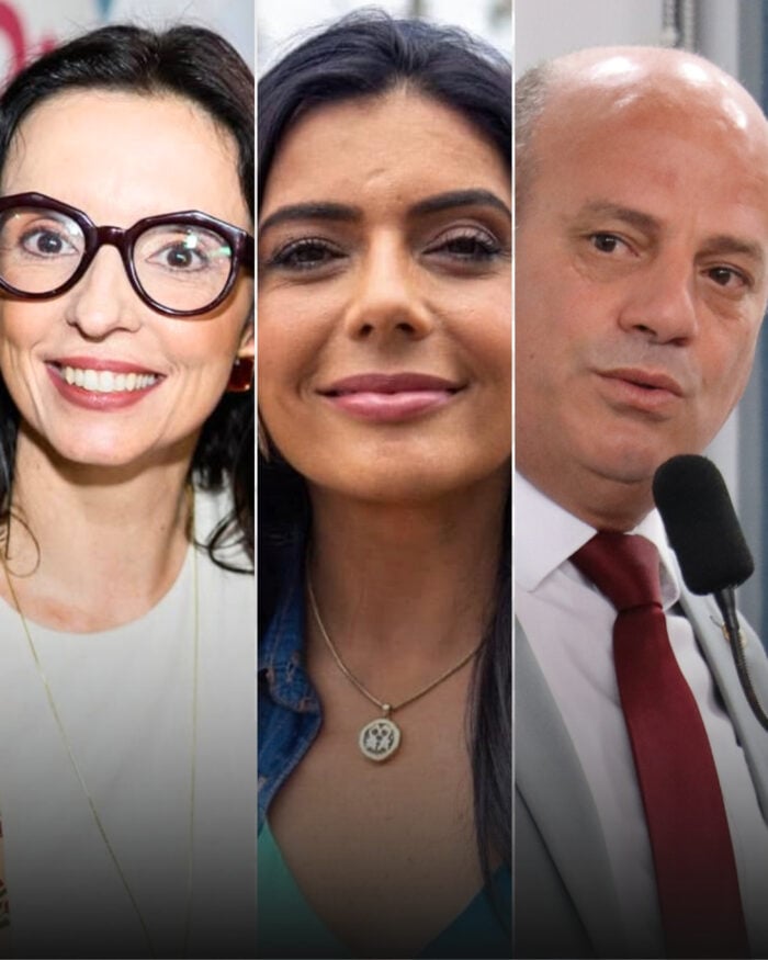 MONTAGEM DEPUTADO FEDERAL FOTOS DIVULGACAO.jpg