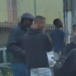 Negro bussola reproducao