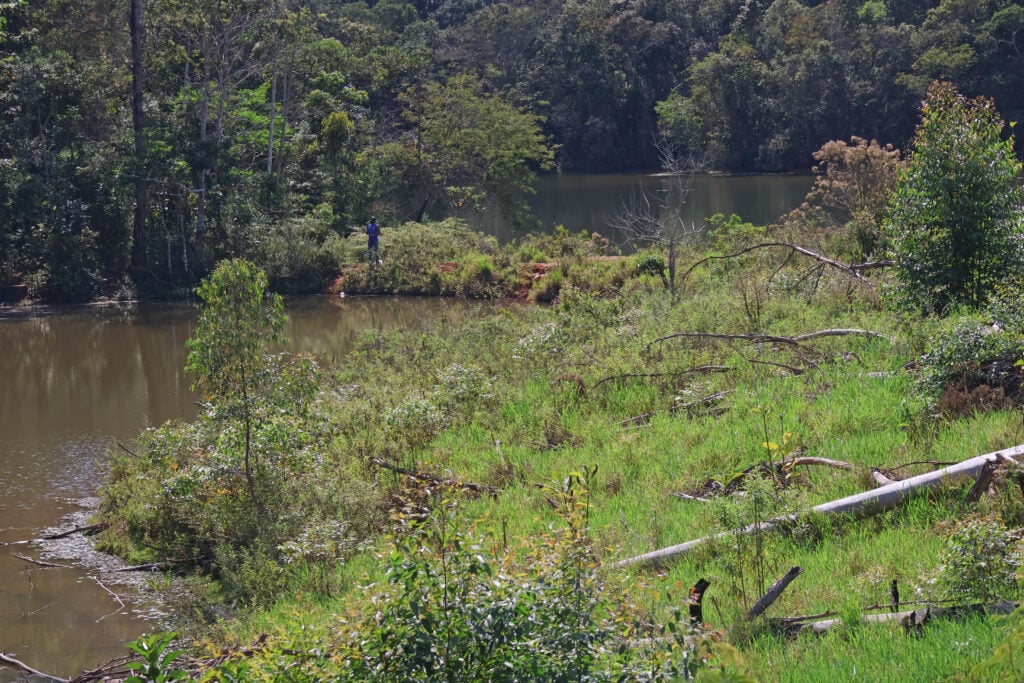 Reserva Biológica Poço D'Antas - FOTO LEONARDO COSTA 05.jpg