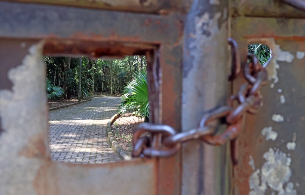 Reserva Biológica Poço D'Antas - FOTO LEONARDO COSTA 09.jpg