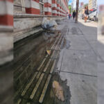Descarte irregular de lixo e água parada são registrados em calçada na Avenida Getúlio Vargas 3 VU Foto Tribuna