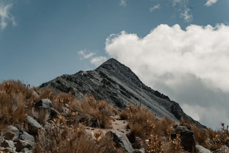 Após conquistar o cume de uma montanha de 3.960 metros, alpinista de 53 anos iniciou a descida e desapareceu, levando equipes a mobilizarem helicópteros, cães farejadores e buscas por mais de três dias